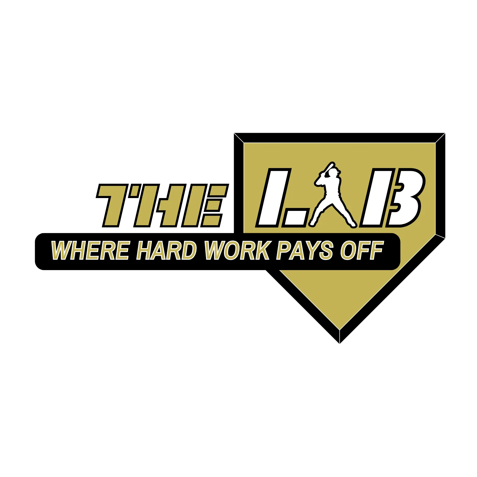 The Lab Sports Performance