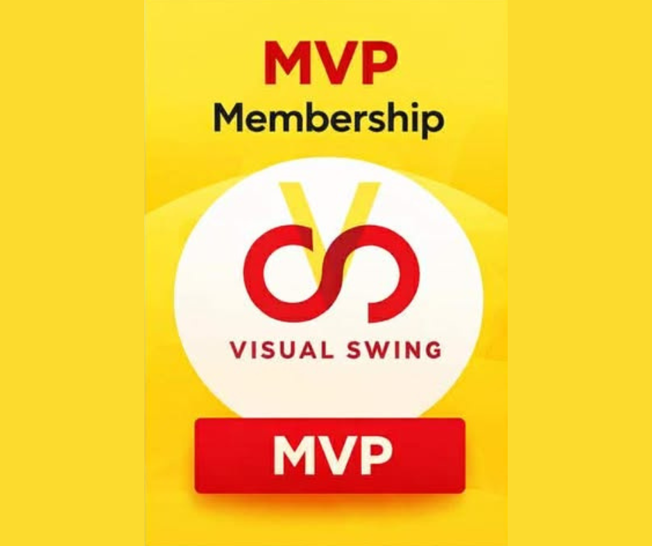Visual Swing